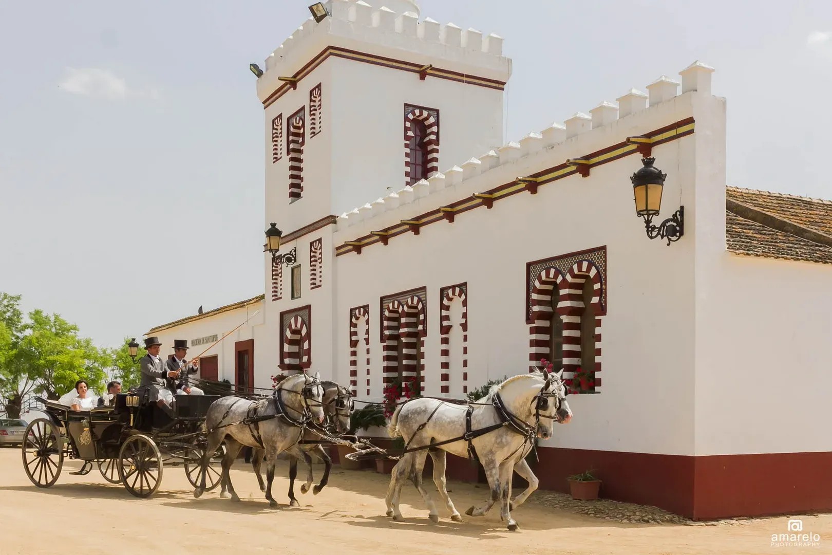 HACIENDA SAN FELIPE - imagen 2