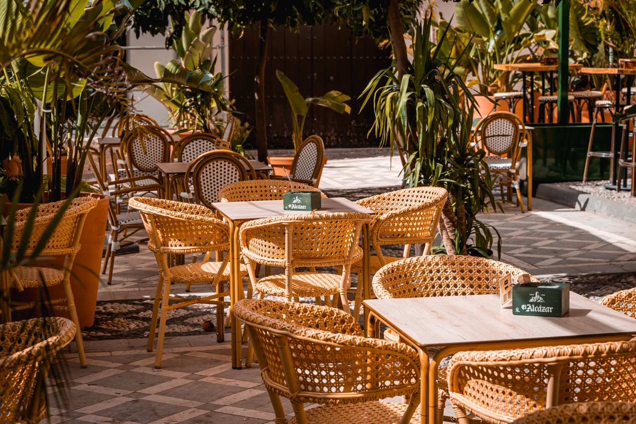 MAMÁ SAMBA - GRUPO PARIPÉ - imagen 4