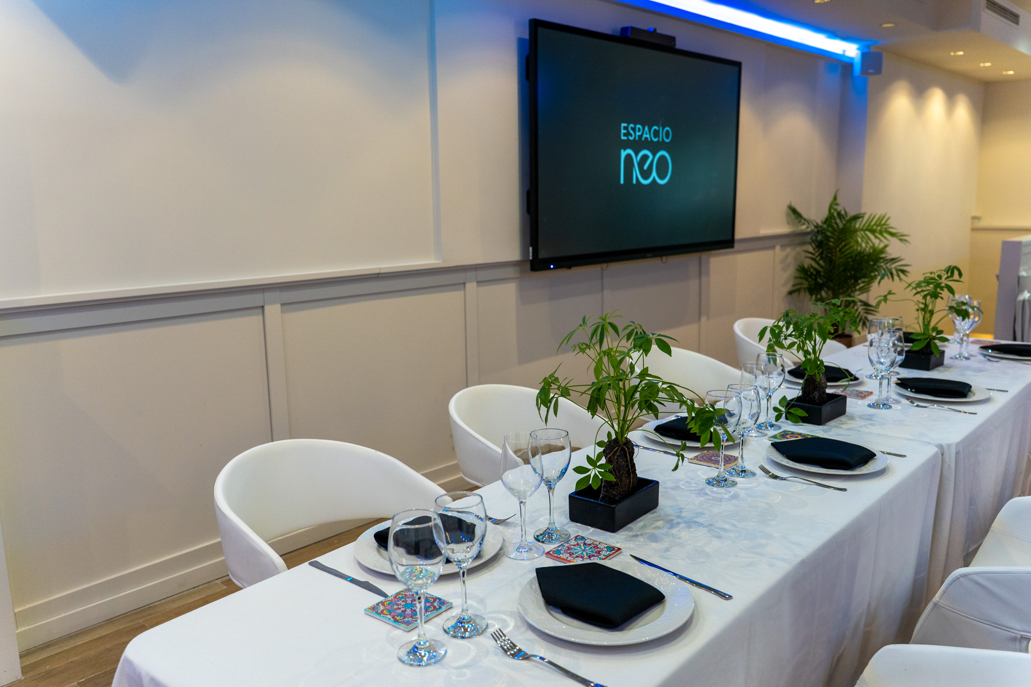 ESPACIO NEO - imagen 4