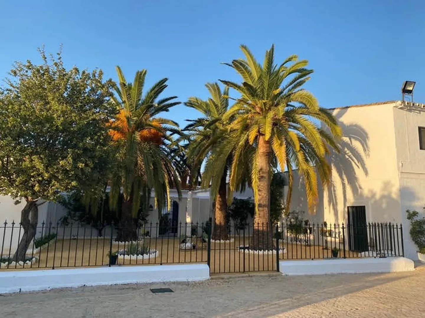 CORTIJO ESPANTA RODRIGO - imagen 2