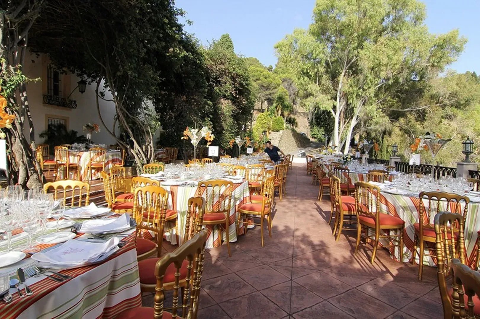 FINCA LA HERRADURA: SEÑORIO DE LEPANTO - imagen 5