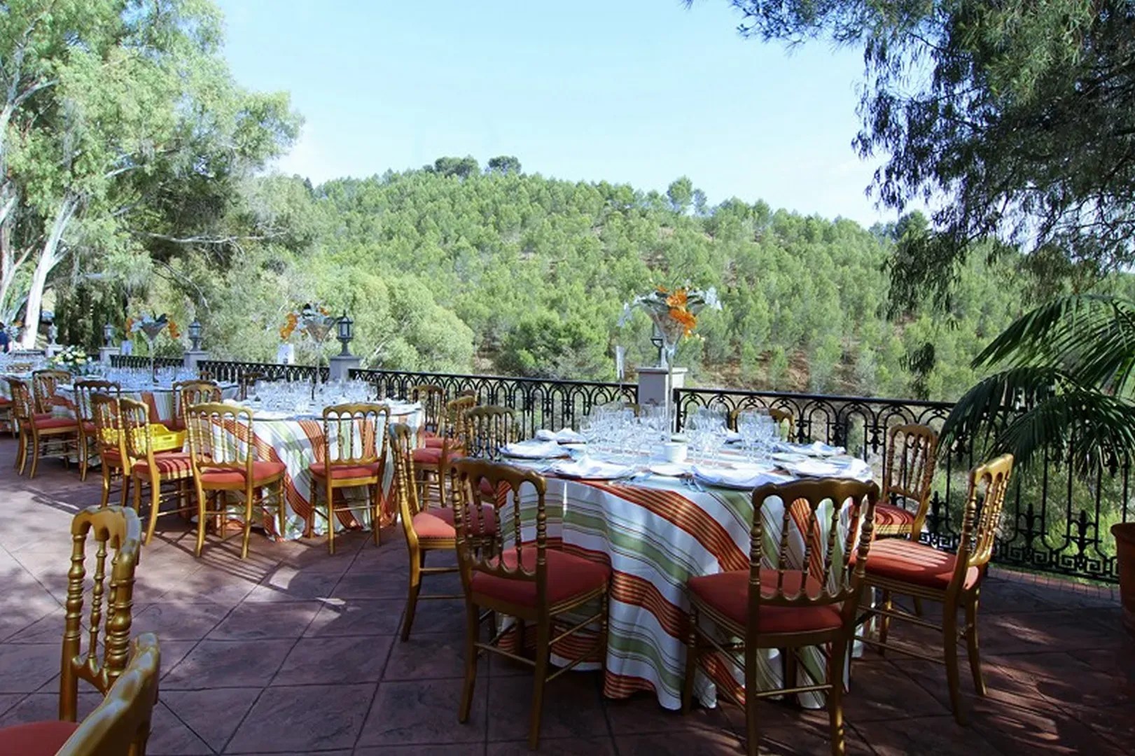 FINCA LA HERRADURA: SEÑORIO DE LEPANTO - imagen 4