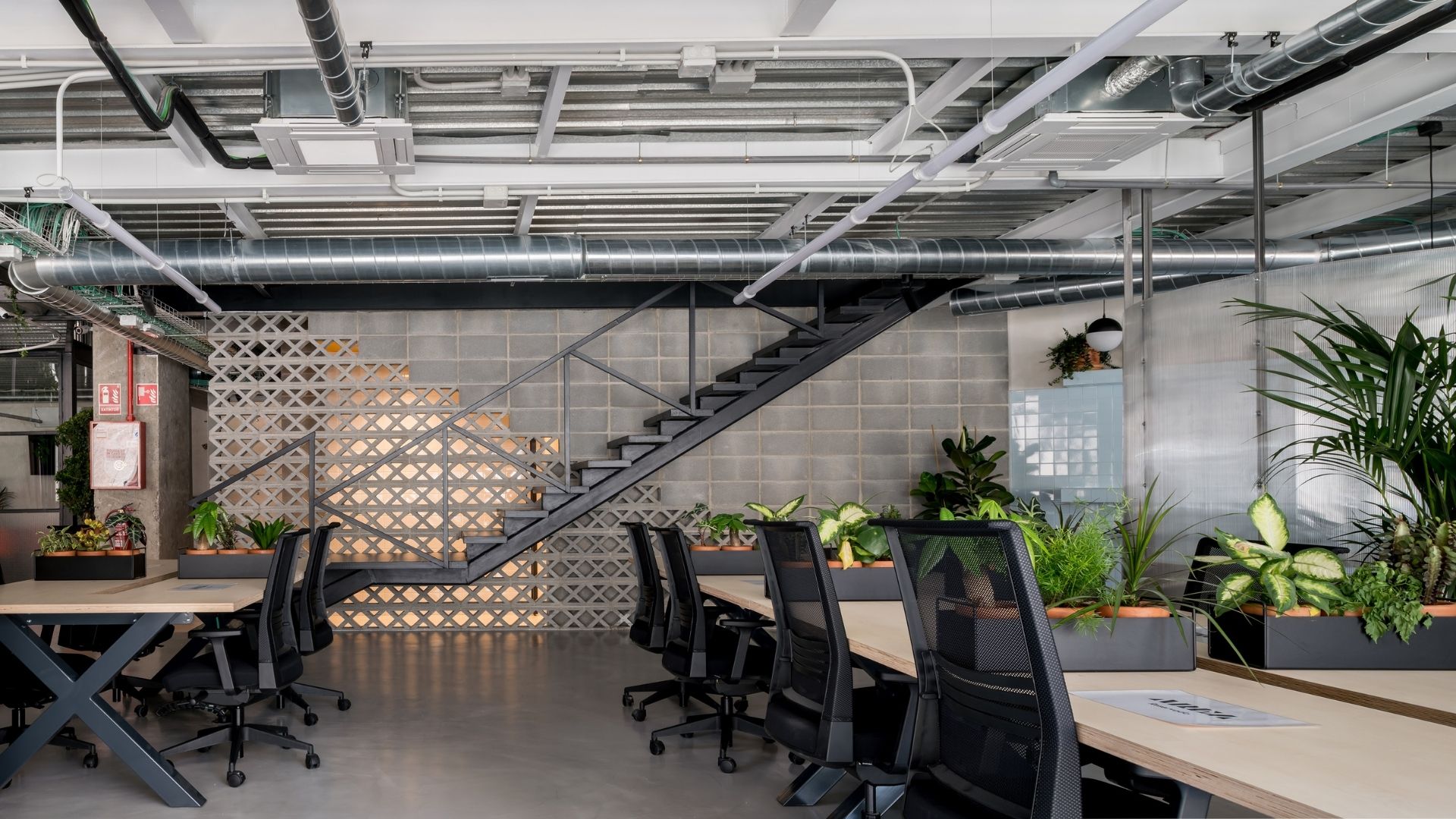 AREA MADRID - imagen 5