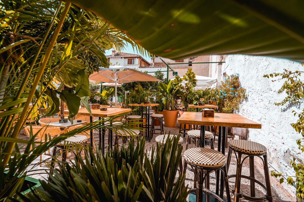 MAMÁ SAMBA - GRUPO PARIPÉ - imagen 5