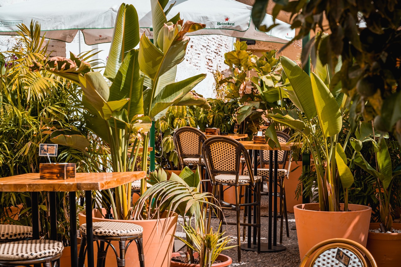 MAMÁ SAMBA - GRUPO PARIPÉ - imagen 3