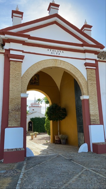 HACIENDA ATALAYA ALTA - imagen 5