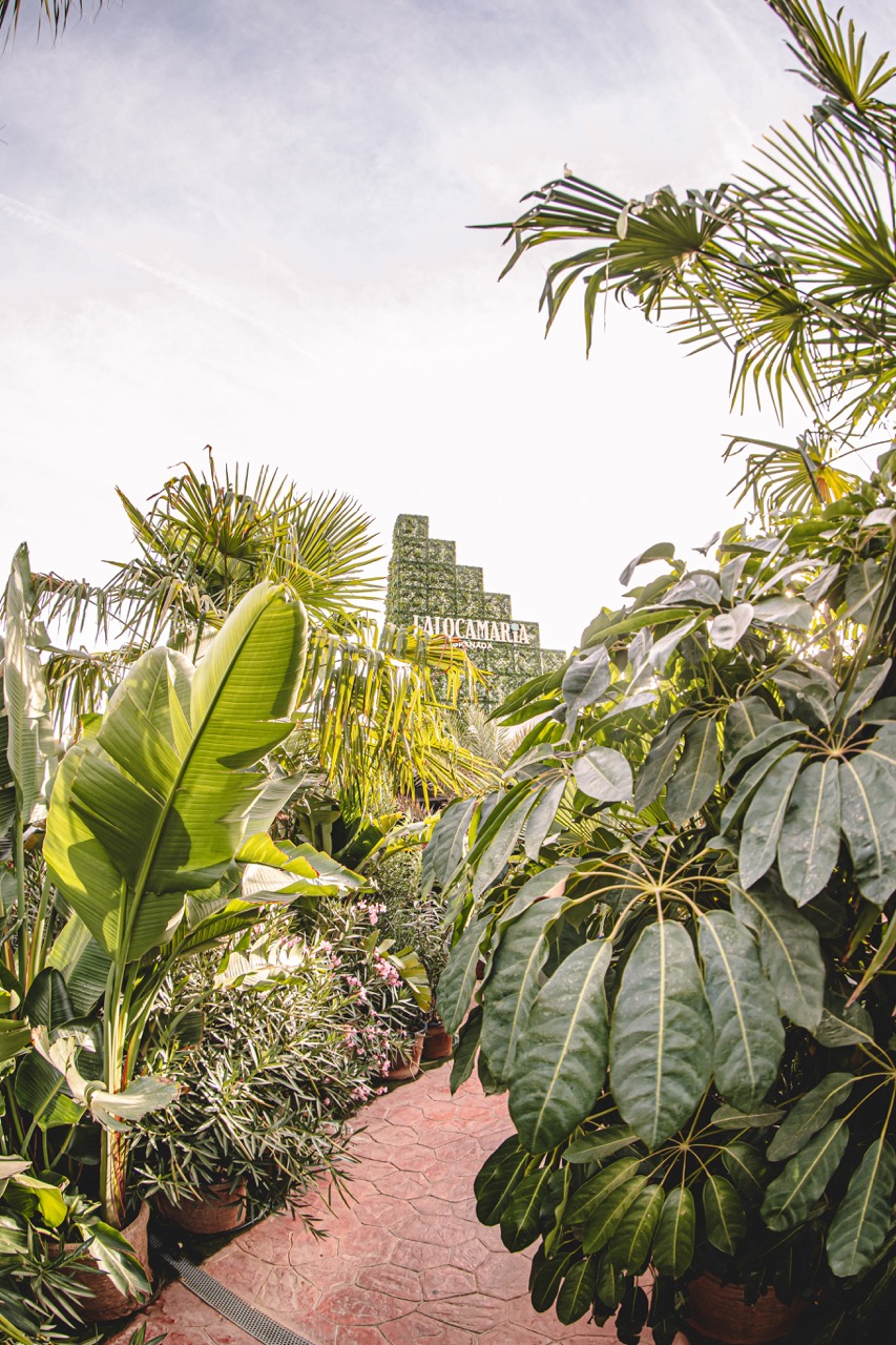 LA LOCA MARIA - GRUPO PARIPÉ