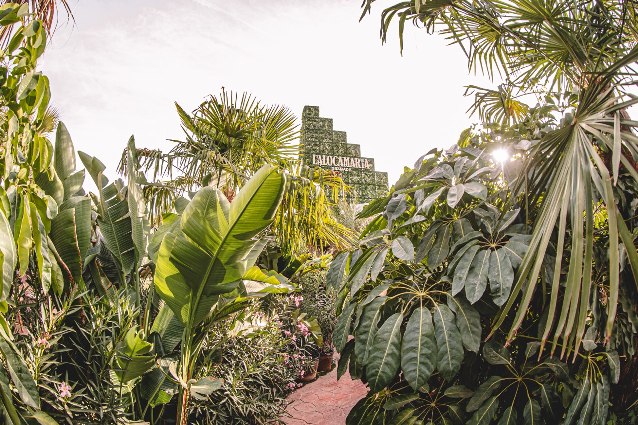 LA LOCA MARIA - GRUPO PARIPÉ - imagen 2