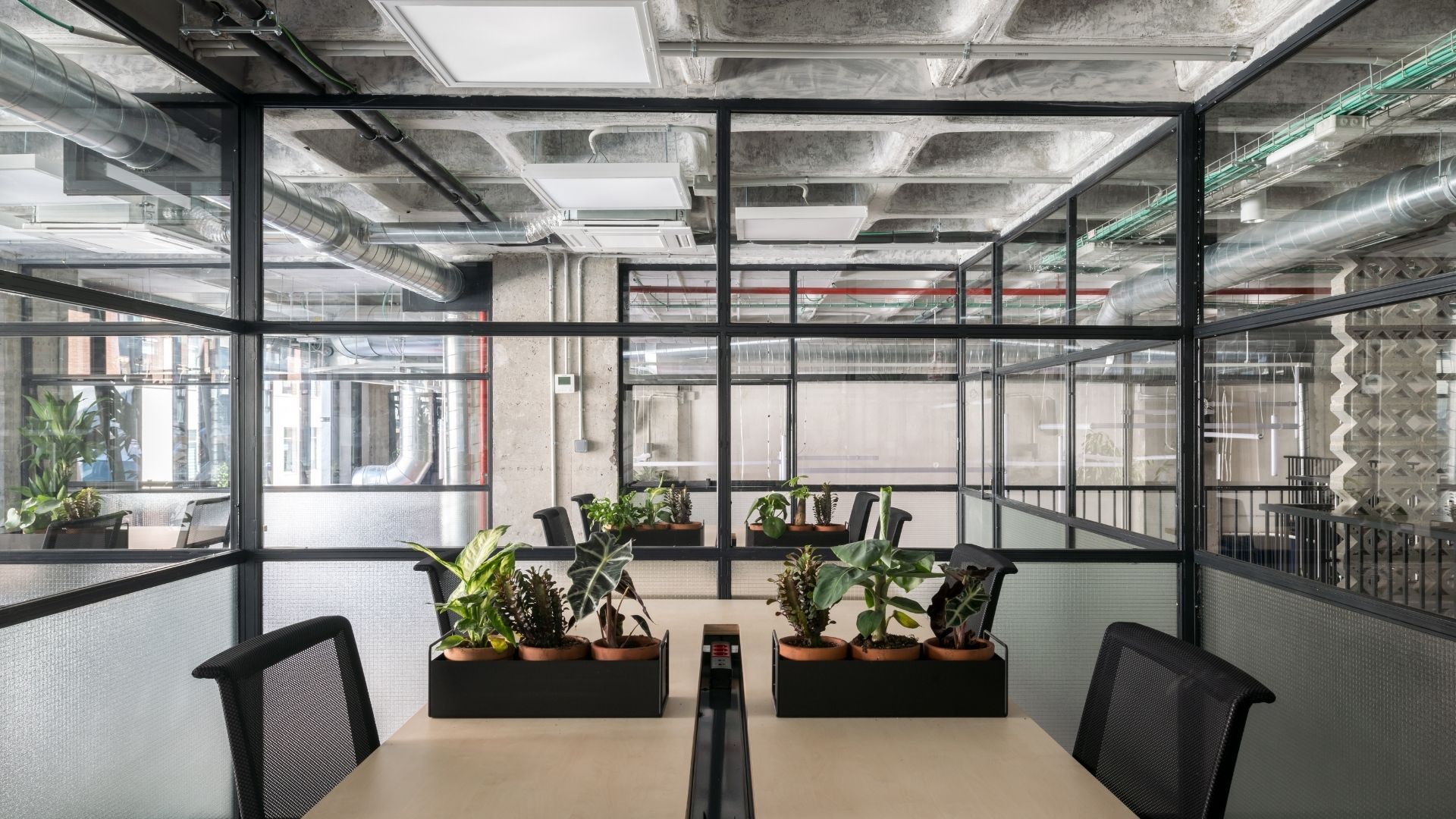 AREA MADRID - imagen 4