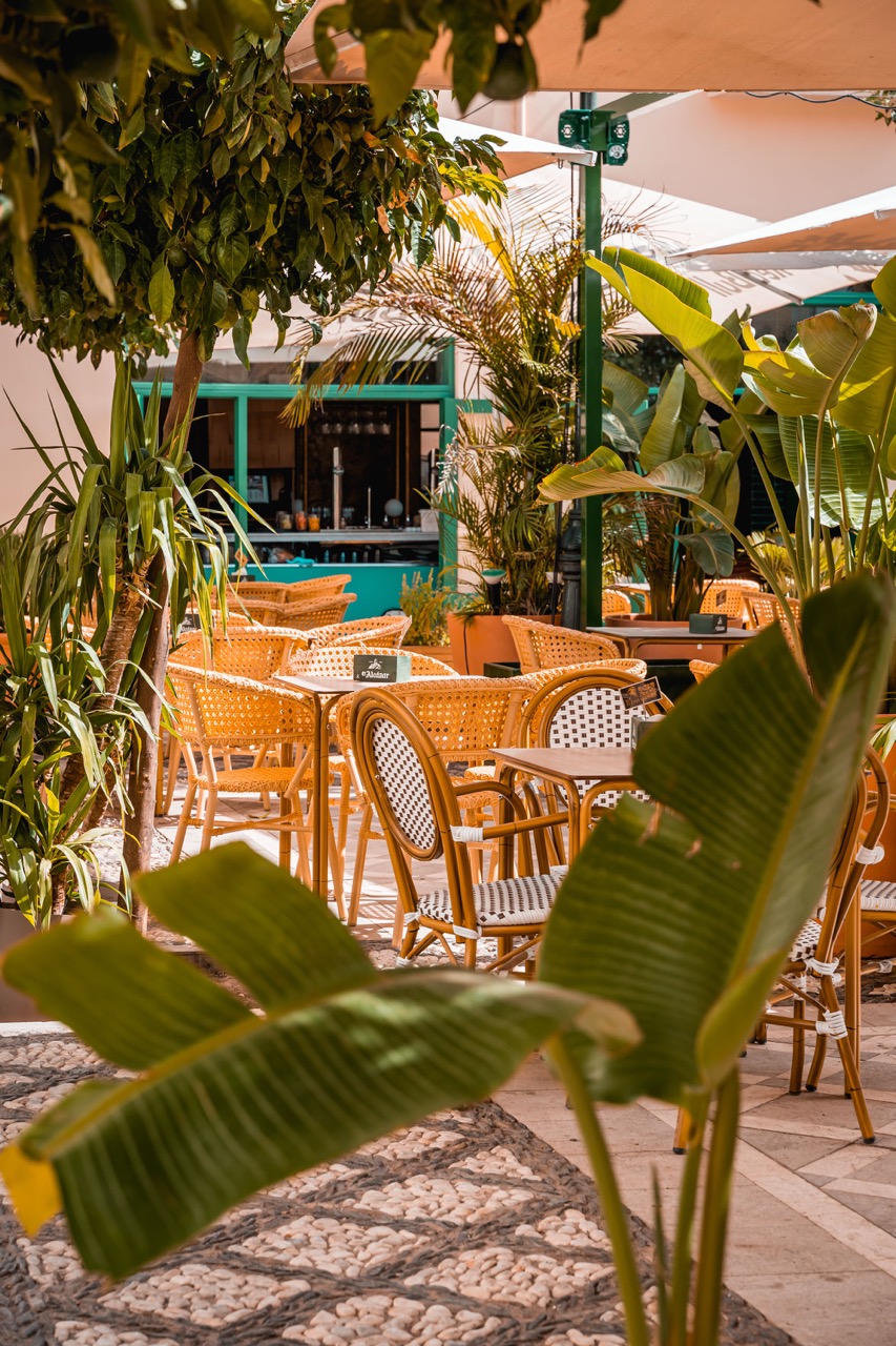 MAMÁ SAMBA - GRUPO PARIPÉ - imagen 2